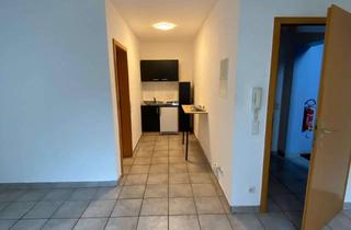 Wohnung mieten in 67158 Ellerstadt, Kompaktes Apartment in Ellerstadt