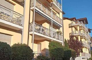 Wohnung mieten in 69412 Eberbach, Großzügige 2-Zimmer Wohnung mit Dachterrasse und Aufzug in ruhiger, zentrumsnaher Lage