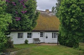 Wohnung mieten in Möhlend, 18569 Ummanz, Vollausgestattete 45-m² Wohnung auf Ummanz