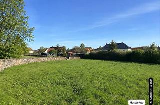 Immobilie kaufen in 07929 Saalburg-Ebersdorf, Wald in 07929 Saalburg-Ebersdorf - Immobilienchance für Käufer ohne Provision