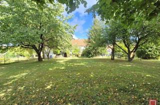 Grundstück zu kaufen in 34379 Calden, Calden - Großes Grundstück ca. 2120 m² - mit Haus
