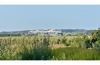 Immobilie kaufen in Leeswig 57, 21635 Jork, Jork-Leeswig Baugrundstück mit Panoramasicht auf Schiffe und Obstbäume