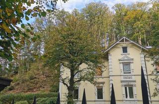 Wohnung mieten in 58762 Altena, Stilvoll renoviert: Aussergewöhnliche 4-Zimmer WHG zwischen Lüd. und Altena; Stuck + Deckenmalerei