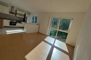 Wohnung mieten in 63875 Mespelbrunn, SONNIGE-2-ZIMMER WOHNUNG in Mespelbrunn