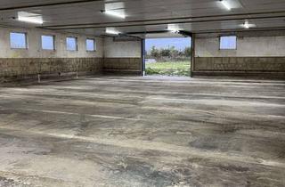 Gewerbeimmobilie mieten in Lostweg, 24594 Nindorf, Lagerhalle in Nindorf bei Neumünster/Hohenwestedt