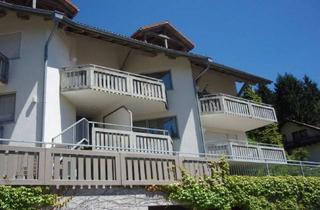 Wohnung mieten in Panoramaweg, 79682 Todtmoos, Schöne 1,5-Zi.-Wohnung mit Balkon u. Einbauküche mit tollem Panoramablick