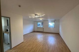 Wohnung mieten in Hockenheimer Straße 46, 68799 Reilingen, 1-Zimmer-Kellerwohnung mit EBK und Stellplatz in Reilingen