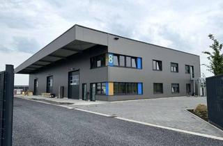 Büro zu mieten in Wasserfuhr 8, 59494 Soest, Neubau 2024: Lagerhalle 800 m² + Bürotrakt 250 m² in Soest – 3 Tore, Wärmepumpe, umzäunt