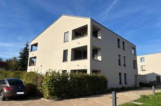 Wohnung mieten in 77880 Sasbach, Wohlfühlwohnung im Erlenbadpark!