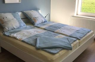 Wohnung mieten in 32805 Horn-Bad Meinberg, Helle, voll möblierte zwei Zimmerwohnung in Horn-Bad Meinberg