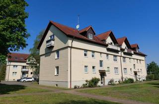 Wohnung mieten in Birkenstraße 6a, 14550 Groß Kreutz, Frisch renovierte Wohnung in ruhiger Wohnanalage in Groß Kreutz