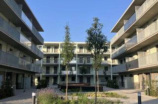 Wohnung mieten in Emma-Ihrer-Str. 12, 15711 Königs Wusterhausen, Neubau 3-Zi. mit Balkon, erster Monat mietfrei (Kaltmiete)!