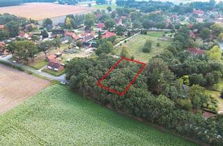 Grundstück zu kaufen in Altenwahlingen, 29693 Böhme, Waldgrundstück in 29693 Böhme Altenwahlingen, Altenwahlingen