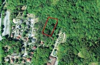 Grundstück zu kaufen in Nordstraße 70, 18528 Lietzow, Wald in 18528 Lietzow /Insel Rügen, hinter Nordstraße 70