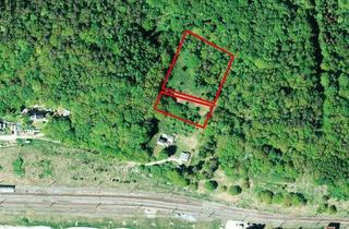 Grundstück zu kaufen in Dorfstraße 32, 18528 Lietzow, Wald in 18528 Lietzow /Insel Rügen, hinter Dorfstraße 32