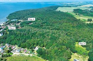 Grundstück zu kaufen in Waldstraße, 18528 Lietzow, Wald in 18528 Lietzow /Insel Rügen, An der Waldstraße
