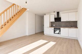 Wohnung mieten in 24376 Kappeln, Erstbezug| 2-Zimmer-Wohnung in zentraler Lage