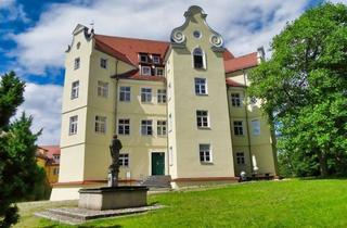 Wohnung kaufen in Schloßstraße, 88453 Erolzheim, Wunderschöne Schloßwohnung mit Alpenpanorama