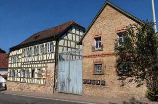 Haus kaufen in 65239 Hochheim, Historischer Vierseitenhof in beliebter Lage von Hochheim-Massenheim