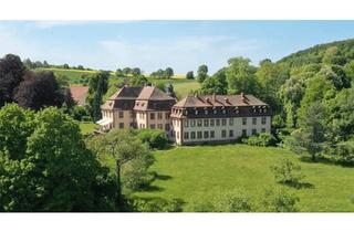 Haus mieten in 97799 Zeitlofs, Möbliertes Haus am Barockschloss mit Tennisplatz und See