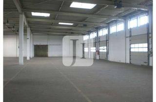 Büro zu mieten in 22113 Billbrook, ca. 1.300 m² Rampenlagerfläche, ca. 200 m² Büro und ca. 1.000 m² Freifläche