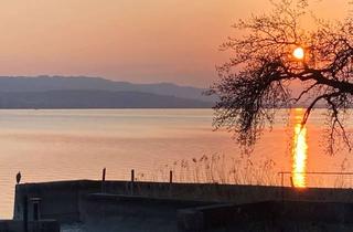 Wohnung mieten in 78476 Allensbach, WOHNEN DIREKT AM BODENSEE | Exklusive Gartenwohnung mit privatem Seezugang