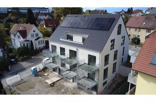 Wohnung mieten in 72488 Sigmaringen, Neubau Wohnung (en) Sigmaringen zwischen 54 - 75 qm zu vermieten