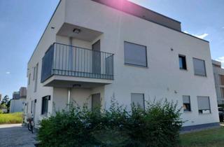 Wohnung mieten in Josef Winter Straße, 76287 Rheinstetten, Stilvolle, helle 1,5 ZKB, Balkon, Keller, Autostellplatz