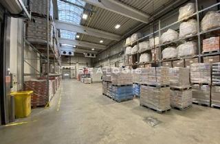 Büro zu mieten in 21035 Allermöhe, HH-Allermöhe | ca. 4.375 m² Halle | PROVISIONSFREI | Rampen | Sektionaltore | Büro