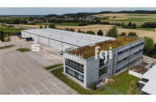 Gewerbeimmobilie kaufen in 73466 Lauchheim, Produktionshalle mit 5-t-Kranbahnen, repräsentativen Bürogebäude und großem Erweiterungsgrundstück