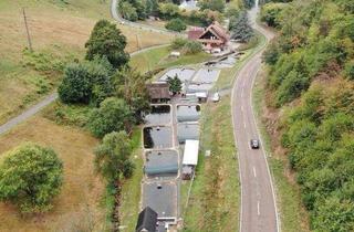 Gewerbeimmobilie kaufen in 76593 Gernsbach, Forellenhof mit großzügiger Teichanlage in idyllischer Naturlage – für nur 150.000 €!