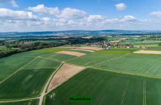 Immobilie kaufen in 95186 Höchstädt, Landwirtschaftsfläche - provisionsfrei