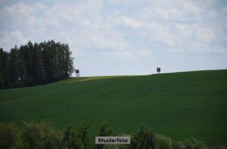 Immobilie kaufen in 01917 Kamenz, Land- und Forstwirtschaftsfläche