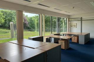 Büro zu mieten in Palmaille, 22767 Hamburg, Moderne Bürofläche mit Elbblick in Hamburg Altonaer Fischmarkt