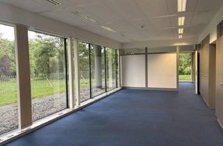 Büro zu mieten in Palmaille, 22767 Hamburg, Moderne Bürofläche mit Elbblick in Hamburg Altonaer Fischmarkt