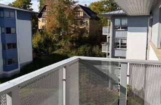 Wohnung mieten in 08058 Weißenborn, 08058! Erstbezug nach Sanierung Dachgeschoss mit Südbalkon, TG, ruhig + waldnah in Weißenborn!