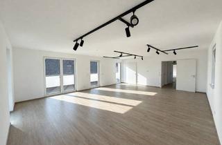 Wohnung mieten in Schmelingstraße 56, 27232 Sulingen, Stilvoll modernisiert: 3-Zimmer-Wohnung in Sulingen