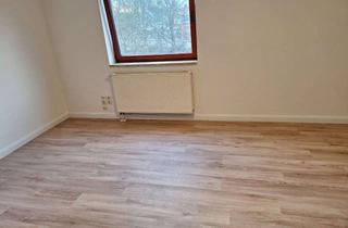 Wohnung mieten in Segeberger Str. 20, 23795 Klein Gladebrügge, 1-Zi DG Wohnung in Einfamilienhaus mit großem modernen Bad