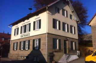 Wohnung mieten in Bibersstraße, 74523 Schwäbisch Hall, Hochwertig sanierte Altbauwohnung mit Terasse, Garten, Einbauküche in Schwäbisch Hall