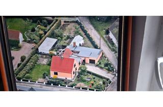 Einfamilienhaus kaufen in Mühlweg, 04838 Doberschütz, Einfamilienhaus mit 125 m² Wohnfläche in Doberschütz