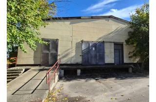 Gewerbeimmobilie mieten in Pfalzstr 00, 86669 Königsmoos, Effizient nutzbare Gewerbehalle in Königsmoos