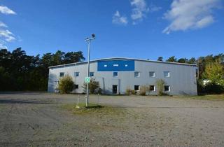 Immobilie mieten in 29227 Celle, Gewerbe-, Büro-, Catering- Austellungsfläche, was ist ihr Plan?