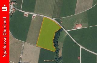 Gewerbeimmobilie kaufen in 86934 Reichling, Landwirtschaftlich Fläche bei Reichling