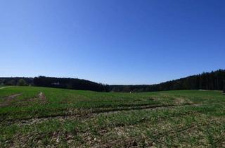 Gewerbeimmobilie kaufen in 84169 Altfraunhofen, Landwirtschaftliche Flächen - Südlich Altfraunhofen