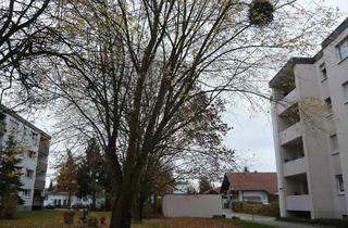 Wohnung kaufen in 79395 Neuenburg, Neuenburg- Steinenstadt- 2 Zimmer Etagenwohnung