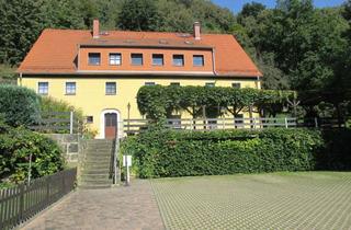 Wohnung mieten in 01796 Pirna, Kleine 2-Raumwohnung im Dachgeschoss mit Einbauküche