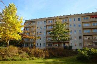 Wohnung mieten in Hermann-Burmeister-Str. 48, 18435 Knieper West, 2 Raumwohnung in ruhiger zentraler Lage!