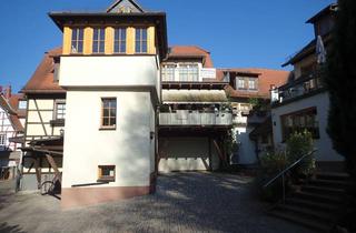 Wohnung mieten in 64720 Michelstadt, Michelstadt-Altstadtkern 5,5 Zi, 140 qm, Blick ins Grüne