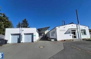 Gewerbeimmobilie kaufen in 08541 Theuma, Objekt-Nr.: 79-1-26 - Schöne bezugsfreie Produktionshalle / Werkshalle / Fabrik mit Bürotrakt, Garagen und Stellplätzen in Theuma