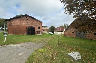 Haus kaufen in 23936 Grevesmühlen, Alte Bauernstelle m. 1,5 ha Wiese/gr. Scheune/Werkstatt u. Nebengebäuden in Friedrichshagen b. Upahl